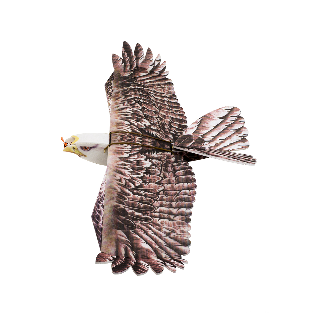 Model Kit Motor - DW Hobby Eagle II EPP Самолет